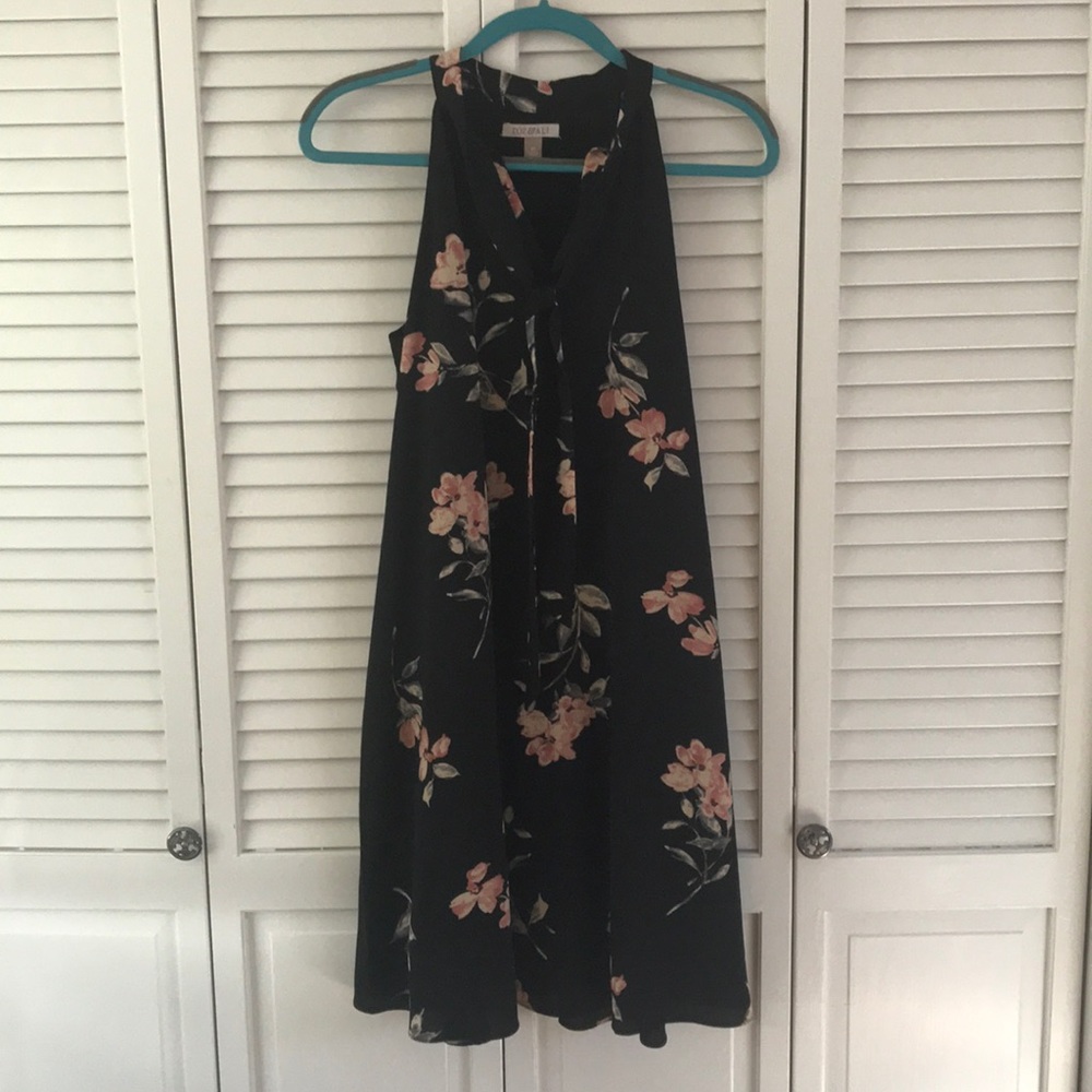 SPRINGTIME DRESS NWOT